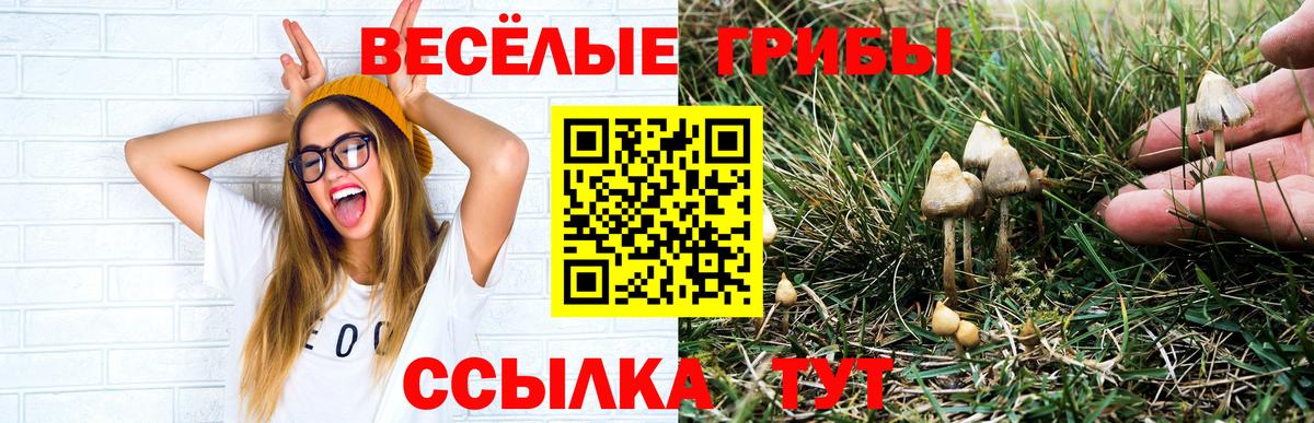 Псилоцибиновые грибы мицелий Валуйки